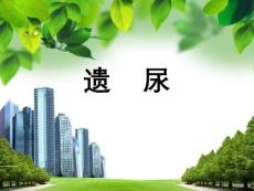 小儿遗尿【40页】