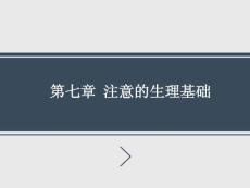 大脑发育迟缓ERP