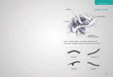 四肢钢板骨盆