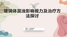 玻璃体混浊影响视力及治疗方法探讨