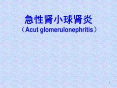肾炎_精品文档