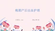 晚期产后出血护理ppt
