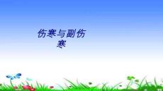 伤寒与副伤寒讲义【51页】