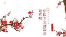 中医养生舒缓肩颈肌肉疼痛课件