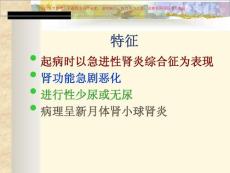 急进性肾小球肾炎慢性肾炎培训课件