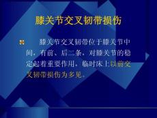 膝关节交叉韧带损伤