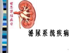 肾炎ppt课件