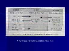 慢性支气管炎