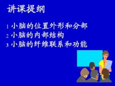脊髓小脑和大脑小脑