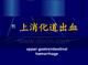 其上的消化道出血称上消化道出血其下的消化道出血称为下消化道出血