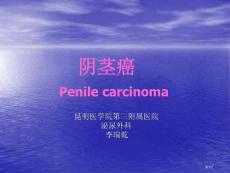 阴茎癌专题知识宣讲培训课件