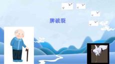 2024年脾破裂
