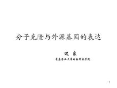 分子克隆与外源基因的表达