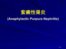 过敏性紫癜性肾炎