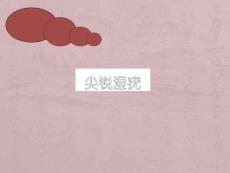 尖锐湿疣幻灯