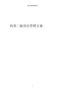2024年間苯二胺項目營銷方案