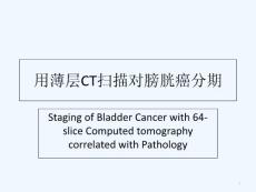 膀胱癌分期-