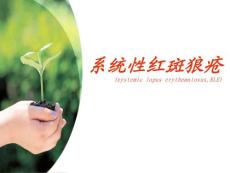系统性红斑狼疮护理