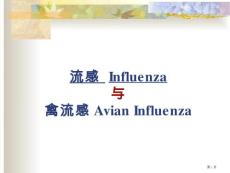 流感Influenza和禽流感AvianInfluenza培训课件
