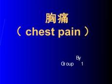 胸痛【11页】