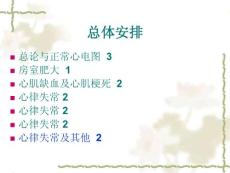 十三预激综合征