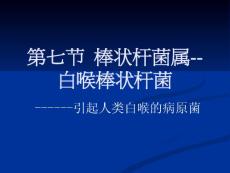 白喉棒状杆菌