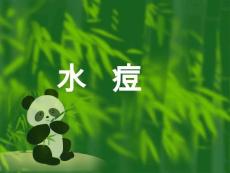 水痘【32页】