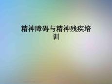 精神障碍与精神残疾培训