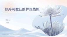 尿路刺激征的护理措施