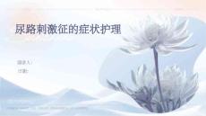 尿路刺激征的症状护理