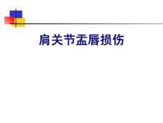 肩关节盂唇损伤培训课件