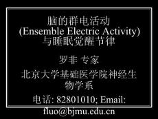 脑的群电活动和睡眠觉醒节律培训课件