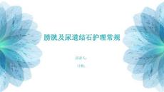 膀胱及尿道结石护理常规