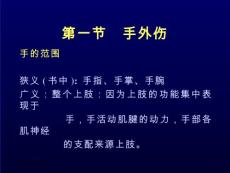 手外伤【35页】