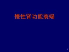 慢性肾功能衰竭【58页】