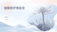脑脓肿护理查房