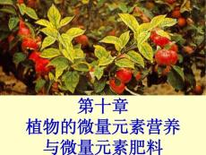 植物的微量元素营养与微量元素肥料培训课件