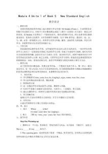 外研版（三起）英語五年級上冊 Module 4 Unit 1 Mum bought a new T-shirt for me._ (2)教案