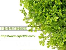 引起外痔的主要原因
