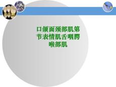 口颌面颈部肌第节表情肌舌咽腭喉部肌