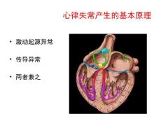 小儿心律失常【39页】