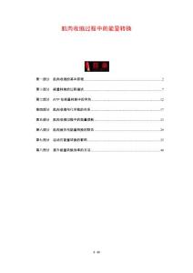 肌肉收缩过程中的能量转换