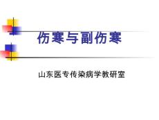 伤寒与副伤寒【61页】
