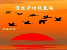 慢性肾功能衰竭