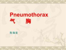 自发性气胸【53页