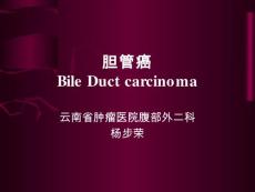 胆管癌【43页】