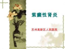 紫癜性肾炎【25页】