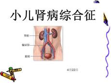 小儿肾病综合征培训课件