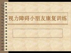 视力障碍儿童康复训练ppt课件