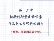 植物微量元素营养与微量元素肥料施用PPT培训课件